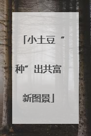 小土豆“种”出共富新图景