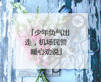 少年负气出走，机场民警暖心劝说