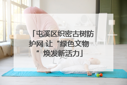 屯溪区织密古树防护网 让“绿色文物”焕发新活力