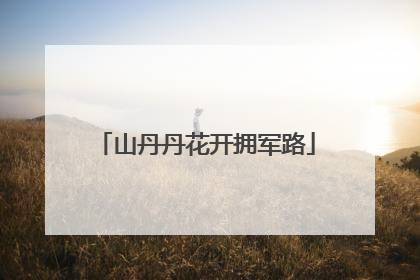 山丹丹花开拥军路