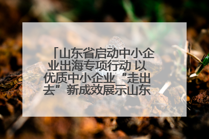 山东省启动中小企业出海专项行动 以优质中小企业“走出去”新成效展示山东产业发展新形象