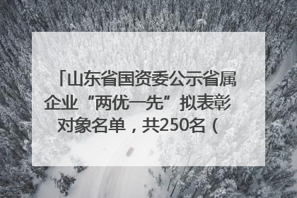 山东省国资委公示省属企业“两优一先”拟表彰对象名单，共250名（个）党员和党组织