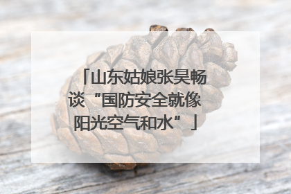 山东姑娘张昊畅谈“国防安全就像阳光空气和水”
