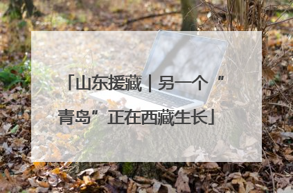 山东援藏｜另一个“青岛”正在西藏生长