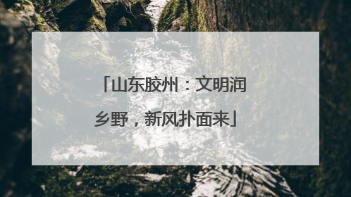 山东胶州：文明润乡野，新风扑面来