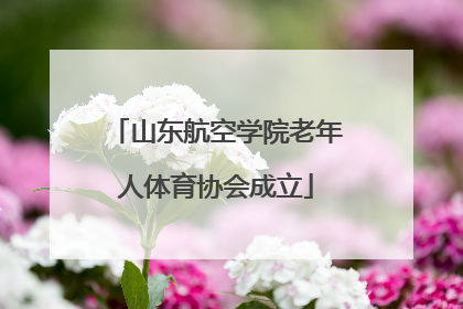 山东航空学院老年人体育协会成立