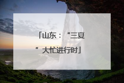 山东：“三夏”大忙进行时
