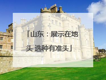 山东：展示在地头 选种有准头