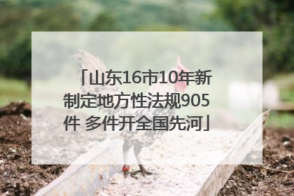 山东16市10年新制定地方性法规905件 多件开全国先河