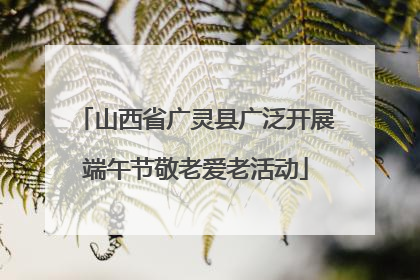 山西省广灵县广泛开展端午节敬老爱老活动