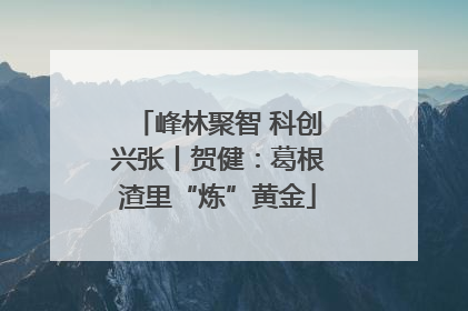 峰林聚智 科创兴张丨贺健：葛根渣里“炼”黄金