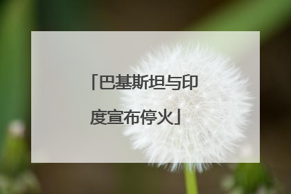 巴基斯坦与印度宣布停火