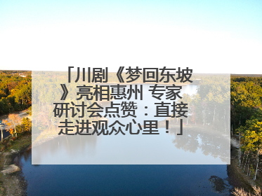 川剧《梦回东坡》亮相惠州 专家研讨会点赞：直接走进观众心里！