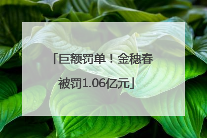 巨额罚单！金穗春被罚1.06亿元