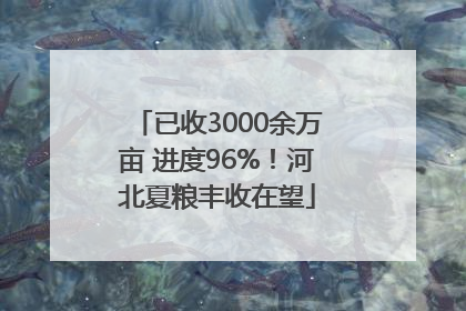 已收3000余万亩 进度96%！河北夏粮丰收在望