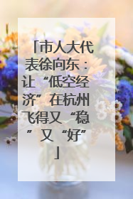 市人大代表徐向东：让“低空经济”在杭州飞得又“稳”又“好”