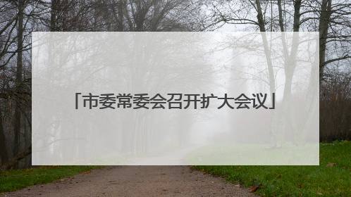 市委常委会召开扩大会议