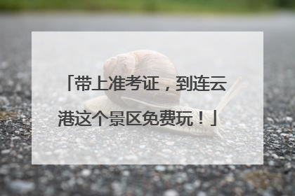 带上准考证，到连云港这个景区免费玩！