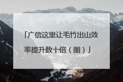 广信这里让毛竹出山效率提升数十倍（图）