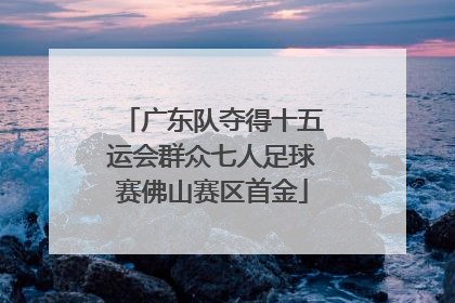 广东队夺得十五运会群众七人足球赛佛山赛区首金