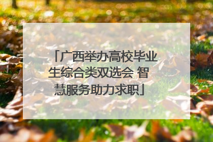 广西举办高校毕业生综合类双选会 智慧服务助力求职