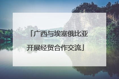 广西与埃塞俄比亚开展经贸合作交流