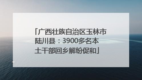 广西壮族自治区玉林市陆川县：3900多名本土干部回乡解纷促和