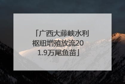 广西大藤峡水利枢纽增殖放流201.9万尾鱼苗
