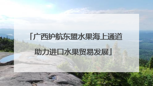 广西护航东盟水果海上通道 助力进口水果贸易发展