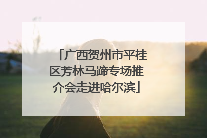 广西贺州市平桂区芳林马蹄专场推介会走进哈尔滨