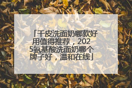 干皮洗面奶哪款好用值得推荐，2025氨基酸洗面奶哪个牌子好，温和在线