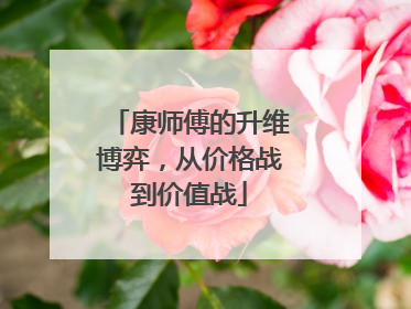 康师傅的升维博弈，从价格战到价值战