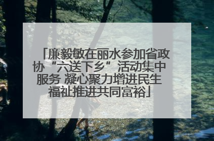 廉毅敏在丽水参加省政协“六送下乡”活动集中服务 凝心聚力增进民生福祉推进共同富裕