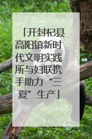 开封杞县高阳镇新时代文明实践所与妇联携手助力“三夏”生产