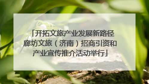 开拓文旅产业发展新路径 廊坊文旅（济南）招商引资和产业宣传推介活动举行