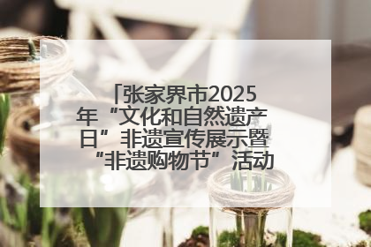 张家界市2025年“文化和自然遗产日”非遗宣传展示暨“非遗购物节”活动在慈利县盛大启幕