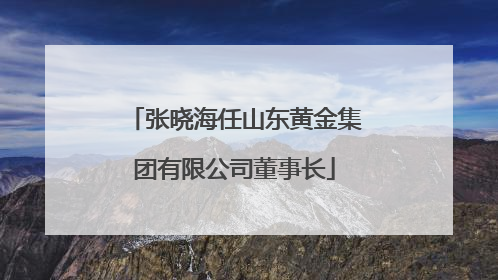 张晓海任山东黄金集团有限公司董事长