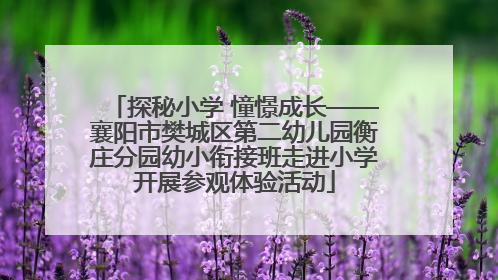 探秘小学 憧憬成长——襄阳市樊城区第二幼儿园衡庄分园幼小衔接班走进小学开展参观体验活动