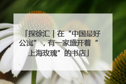 探徐汇｜在“中国最好公寓”，有一家盛开着“上海玫瑰”的书店