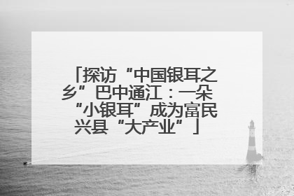 探访“中国银耳之乡”巴中通江：一朵“小银耳”成为富民兴县“大产业”
