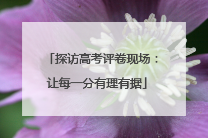探访高考评卷现场：让每一分有理有据