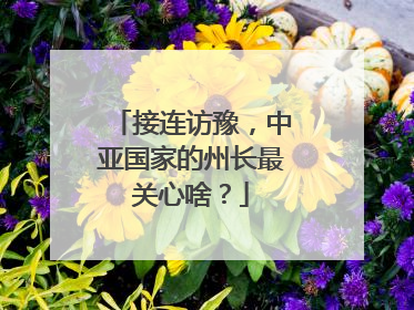接连访豫，中亚国家的州长最关心啥？