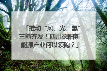 推动“风、光、氢”三箭齐发！四川德阳新能源产业何以领跑？