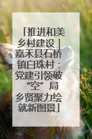 推进和美乡村建设｜嘉禾县石桥镇白珠村：党建引领破“空”局 乡贤聚力绘就新图景