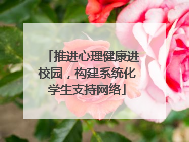 推进心理健康进校园，构建系统化学生支持网络