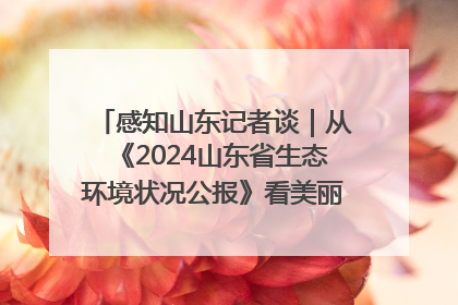 感知山东记者谈｜从《2024山东省生态环境状况公报》看美丽山东建设的“成绩单”与“任务书”