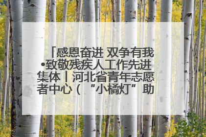 感恩奋进 双争有我•致敬残疾人工作先进集体丨河北省青年志愿者中心（“小橘灯”助残接力计划实施团队）：用温暖陪伴，守护特殊孩子成长
