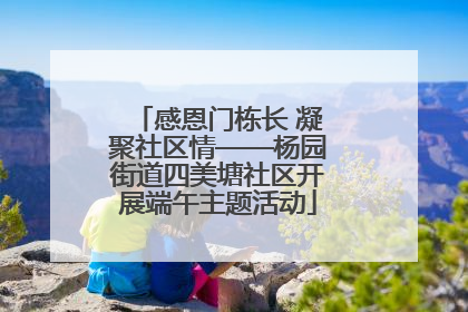 感恩门栋长 凝聚社区情——杨园街道四美塘社区开展端午主题活动
