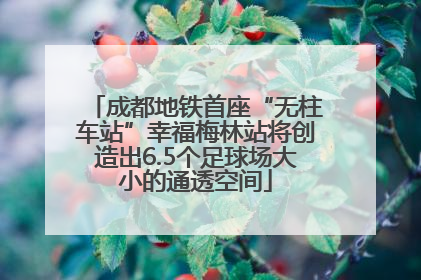 成都地铁首座“无柱车站”幸福梅林站将创造出6.5个足球场大小的通透空间