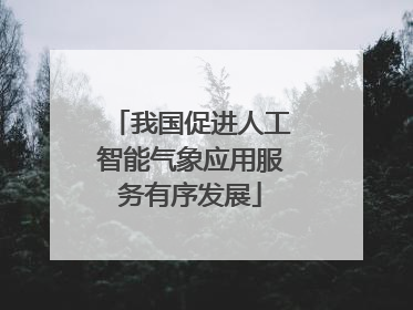 我国促进人工智能气象应用服务有序发展